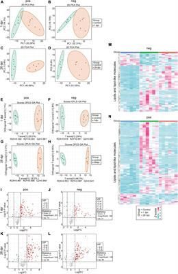 Targeting transcription factor pu.1 for improving neurologic outcomes after spinal cord injury